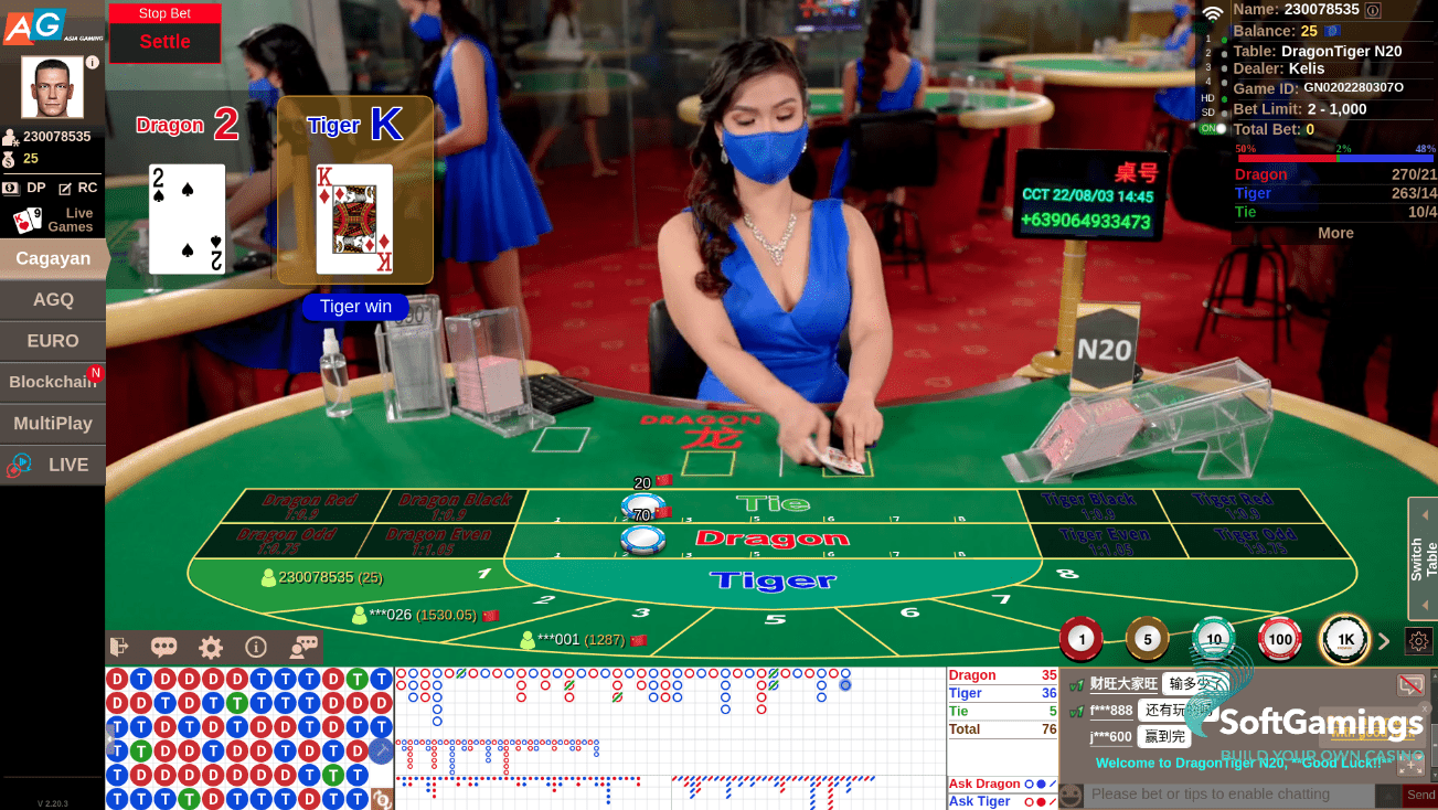 CGY Dragon Tiger N20