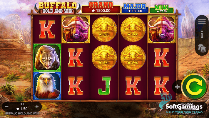 Buffalo Hold and Win