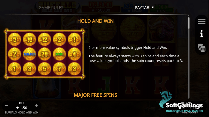 Buffalo Hold and Win