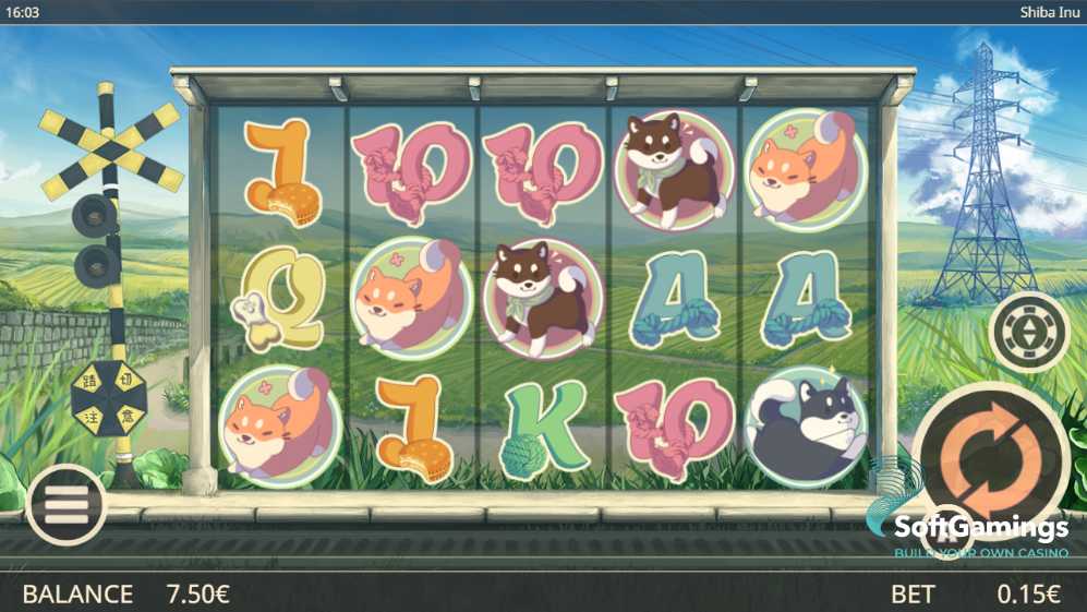 Shiba Inu